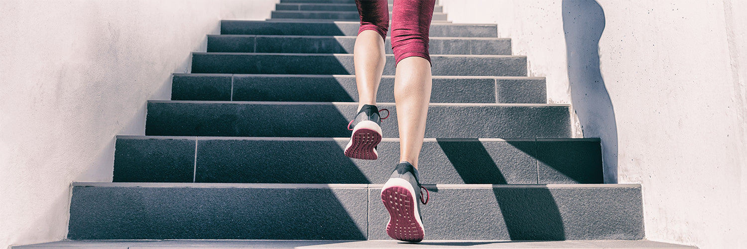 1500x500_Treppenlauf