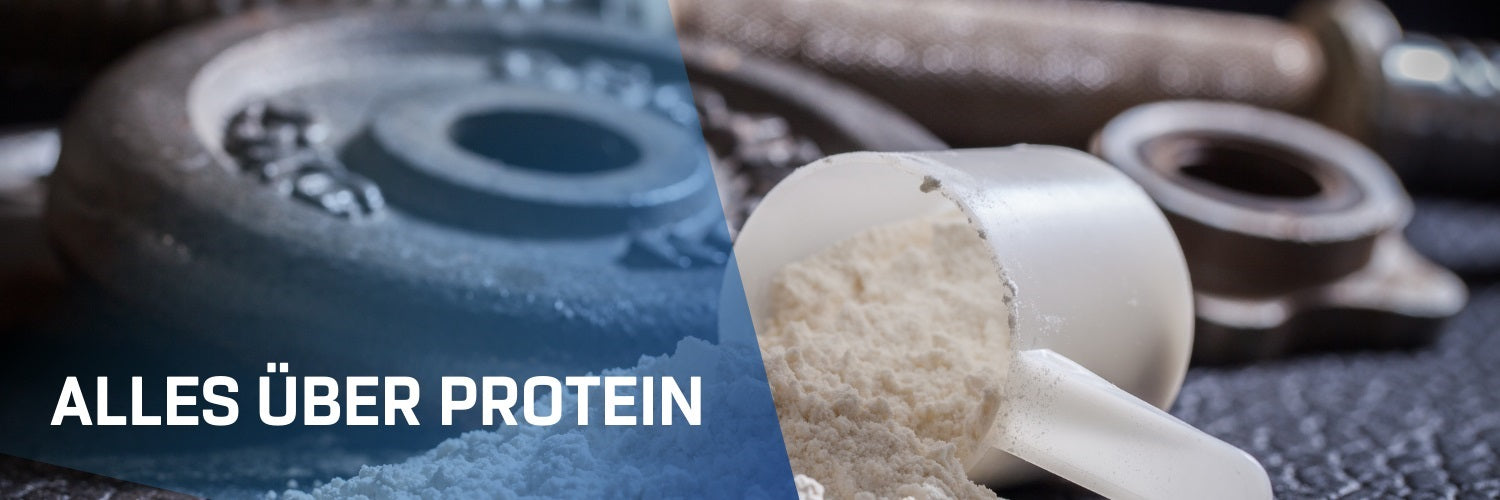 Über Protein 1500x500