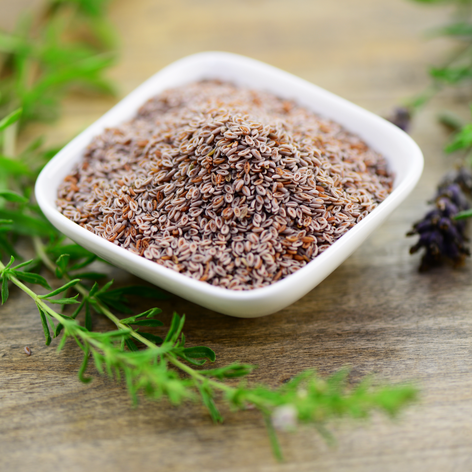 #locale_de#locale_nl