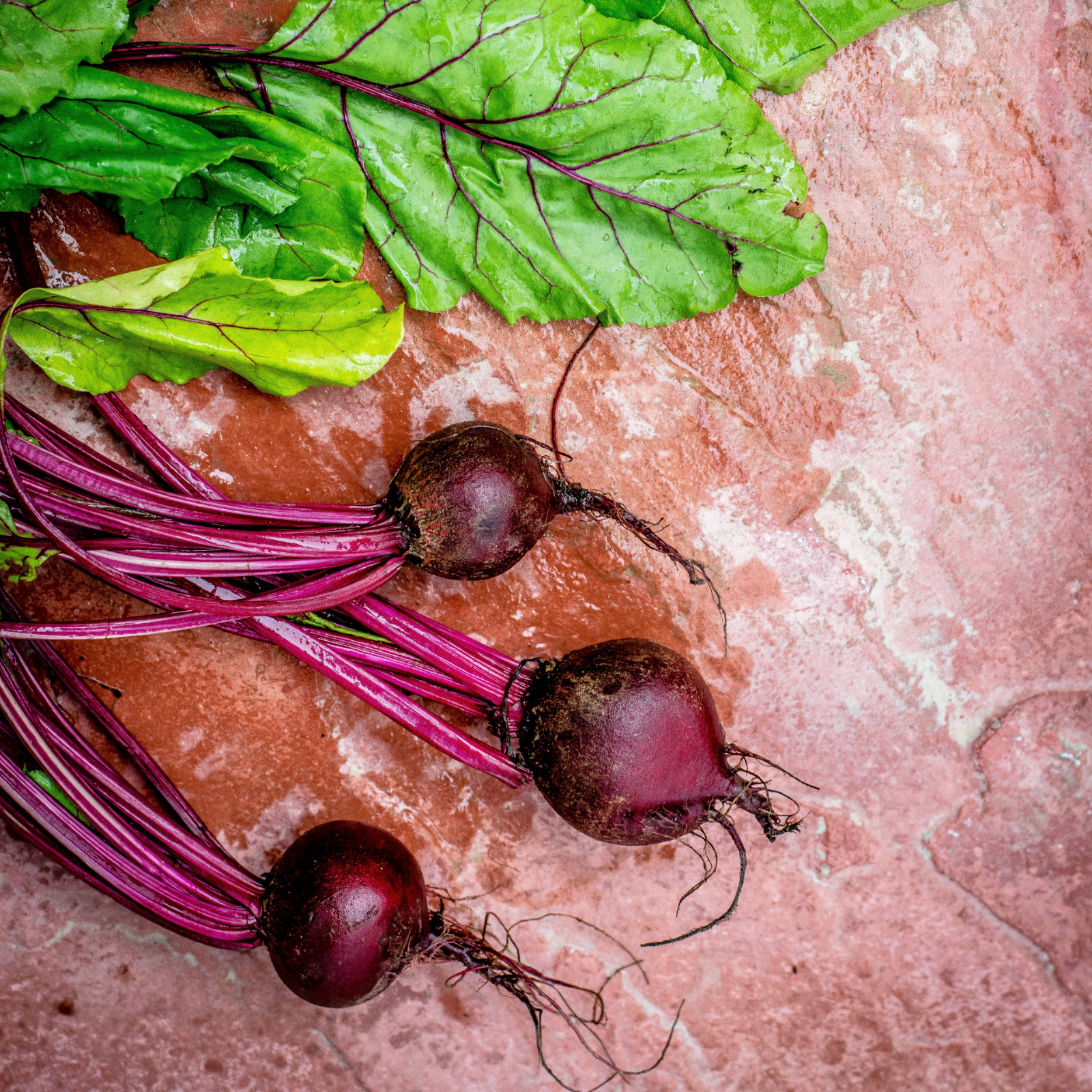 #locale_de#locale_nl