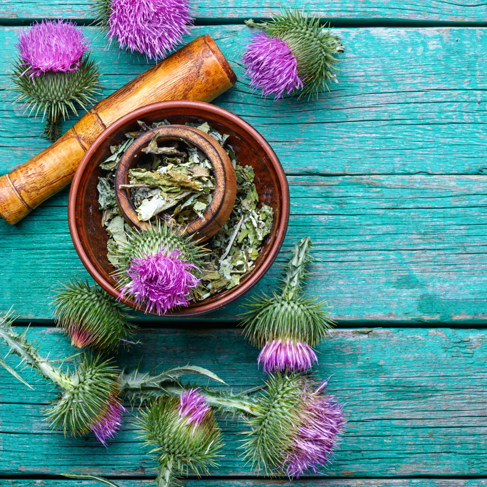 #locale_de#locale_nl