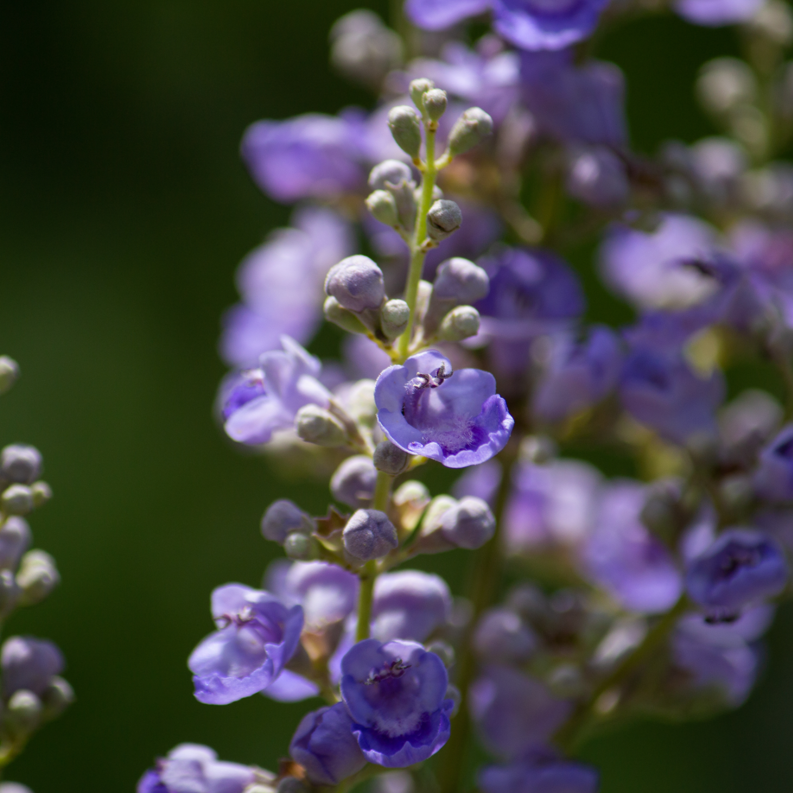 #locale_de#locale_nl