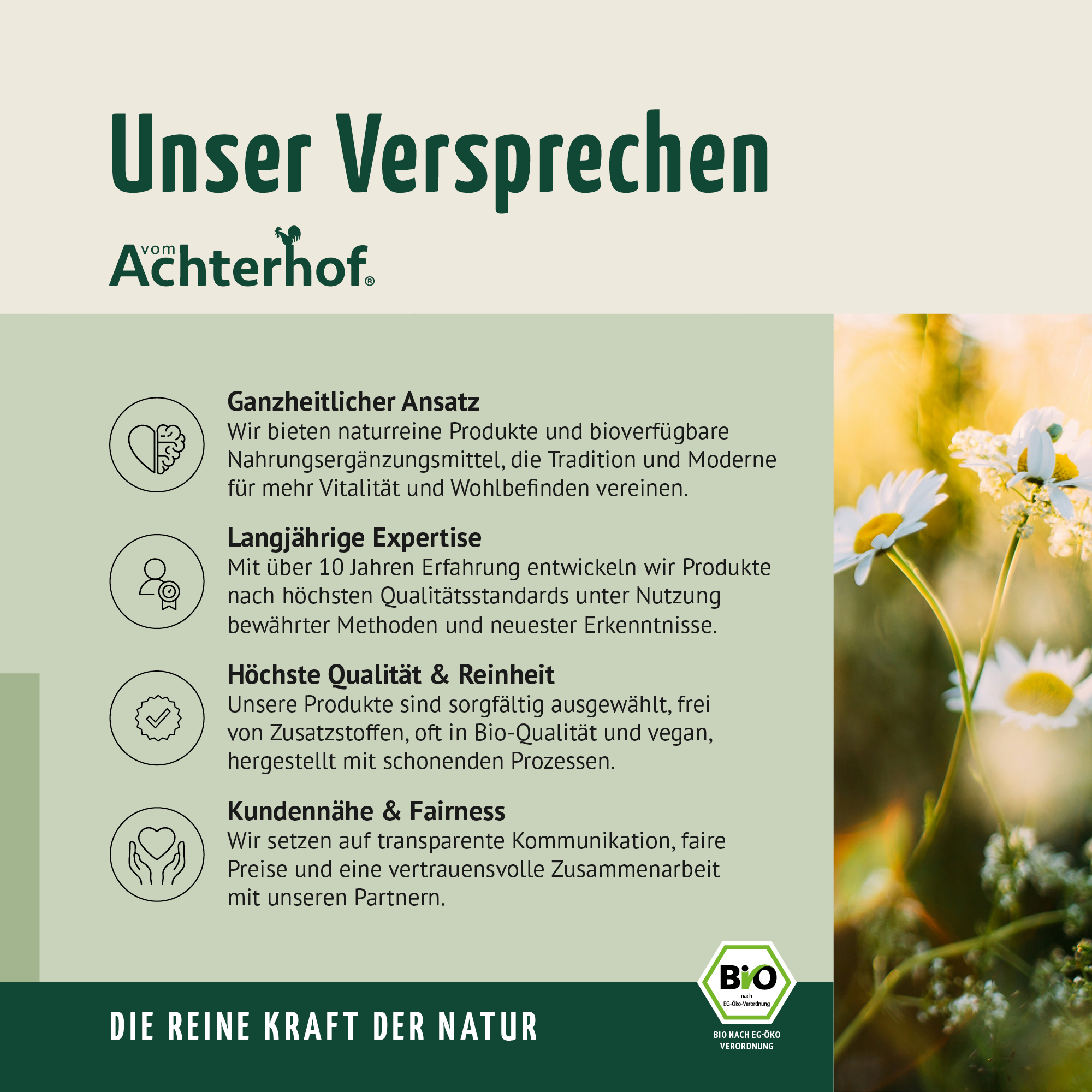 #locale_de#locale_nl