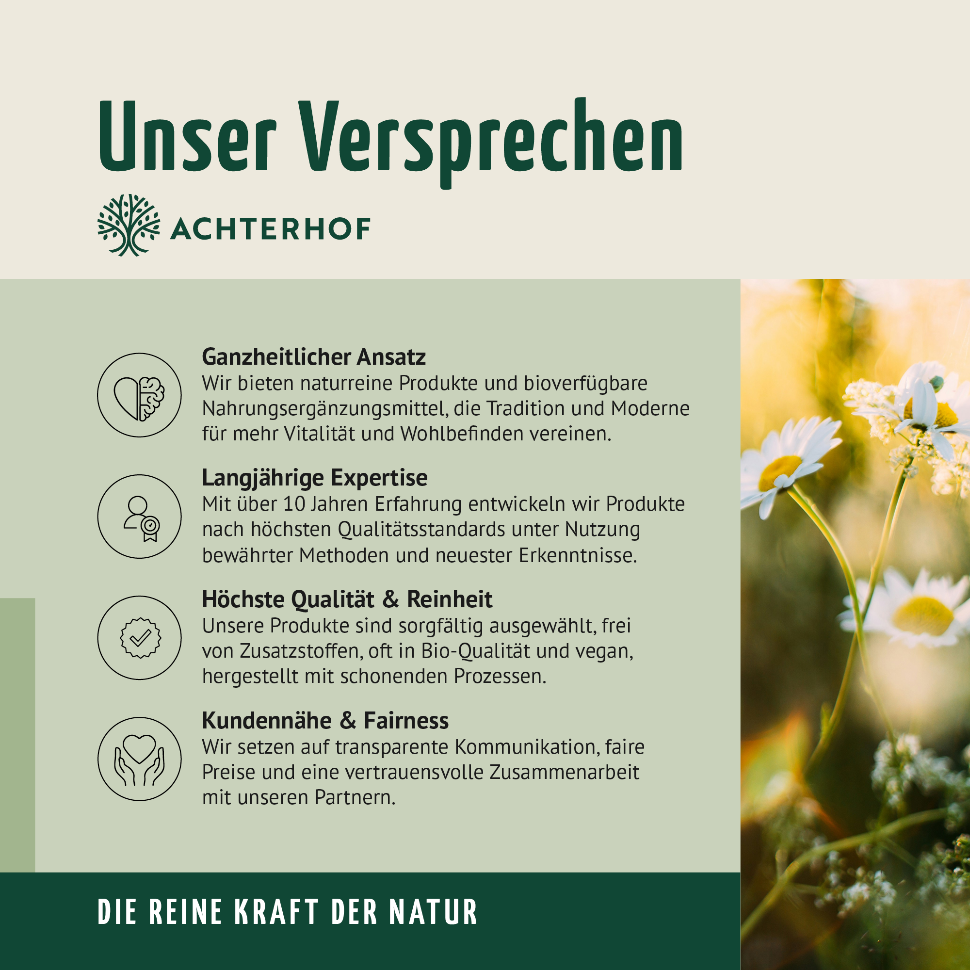 #locale_de#locale_nl