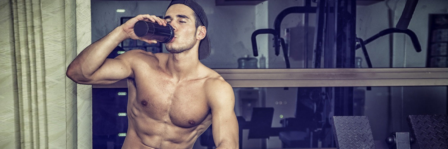 1500x500_Wheyprotein und Fitness