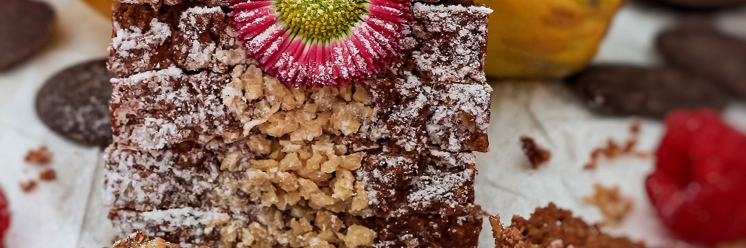 Papaya-Schoko-Kuchen 1500x500-2