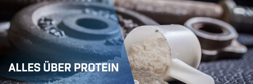 Über Protein 1500x500