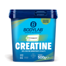 Creatine (Creapure®) (500g)