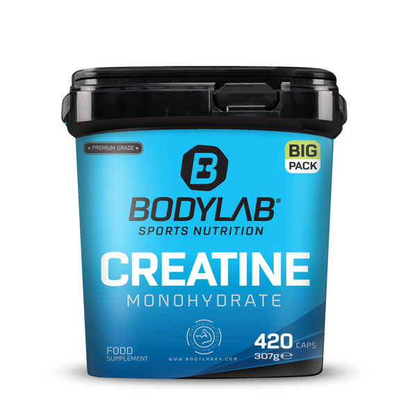 BIG PACK Creatine Monohydrate 420 Kapseln