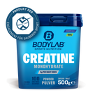 Creatine Powder (500g)