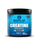 Creatine Monohydrate MESH 600 (500g)
