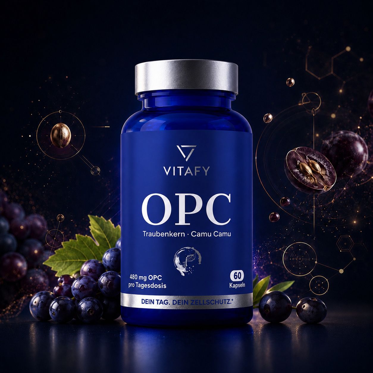 OPC Traubenkernextrakt + Vitamin C (60 Kapseln)