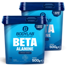 2 x Beta-Alanine (je 500g)