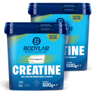 1 kg Creatine (Creapure®) (2 x 500 g)