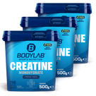 3 x Creatine Powder (500g)