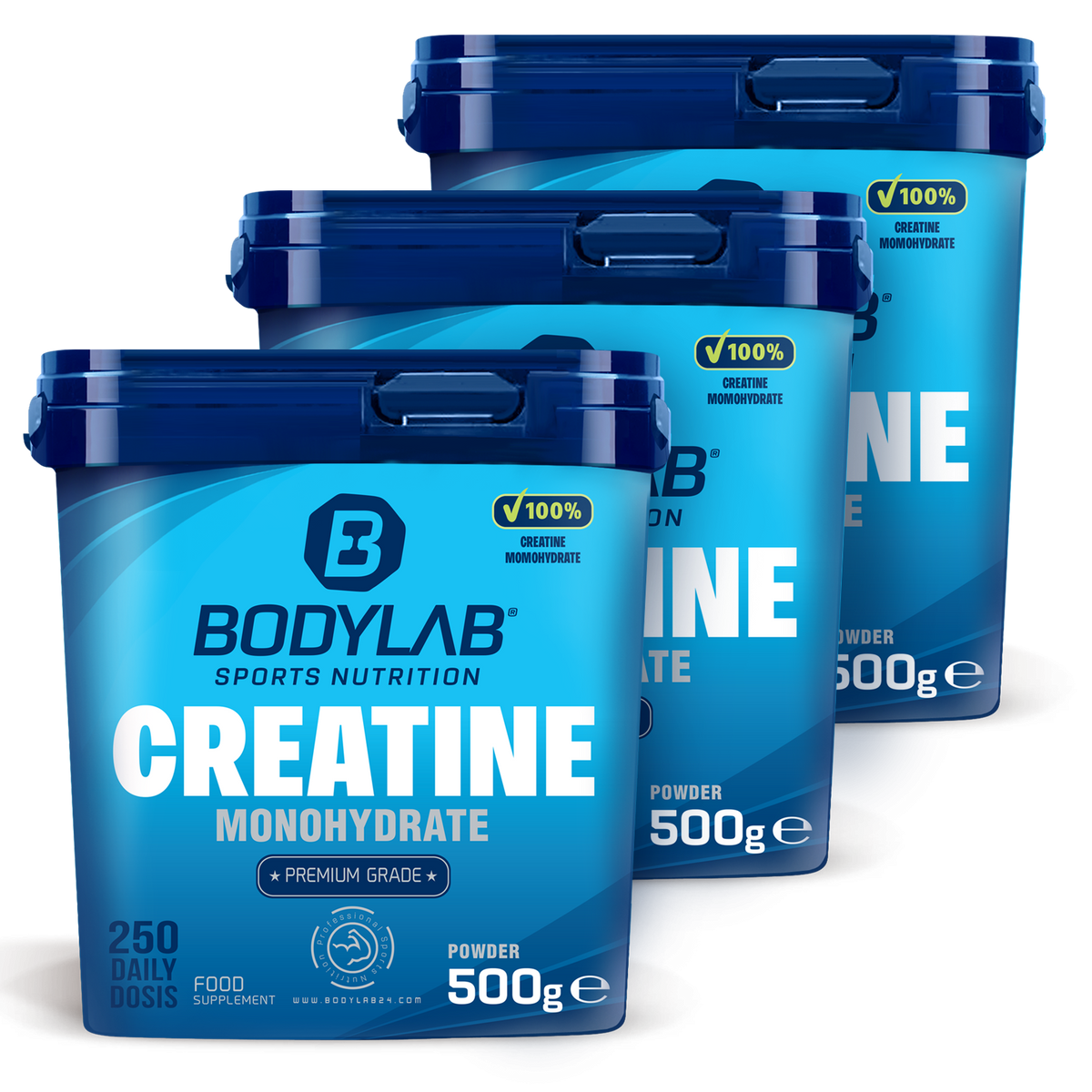 3 x Creatine Powder (500g)
