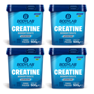 4 x Creatine Powder (500g)