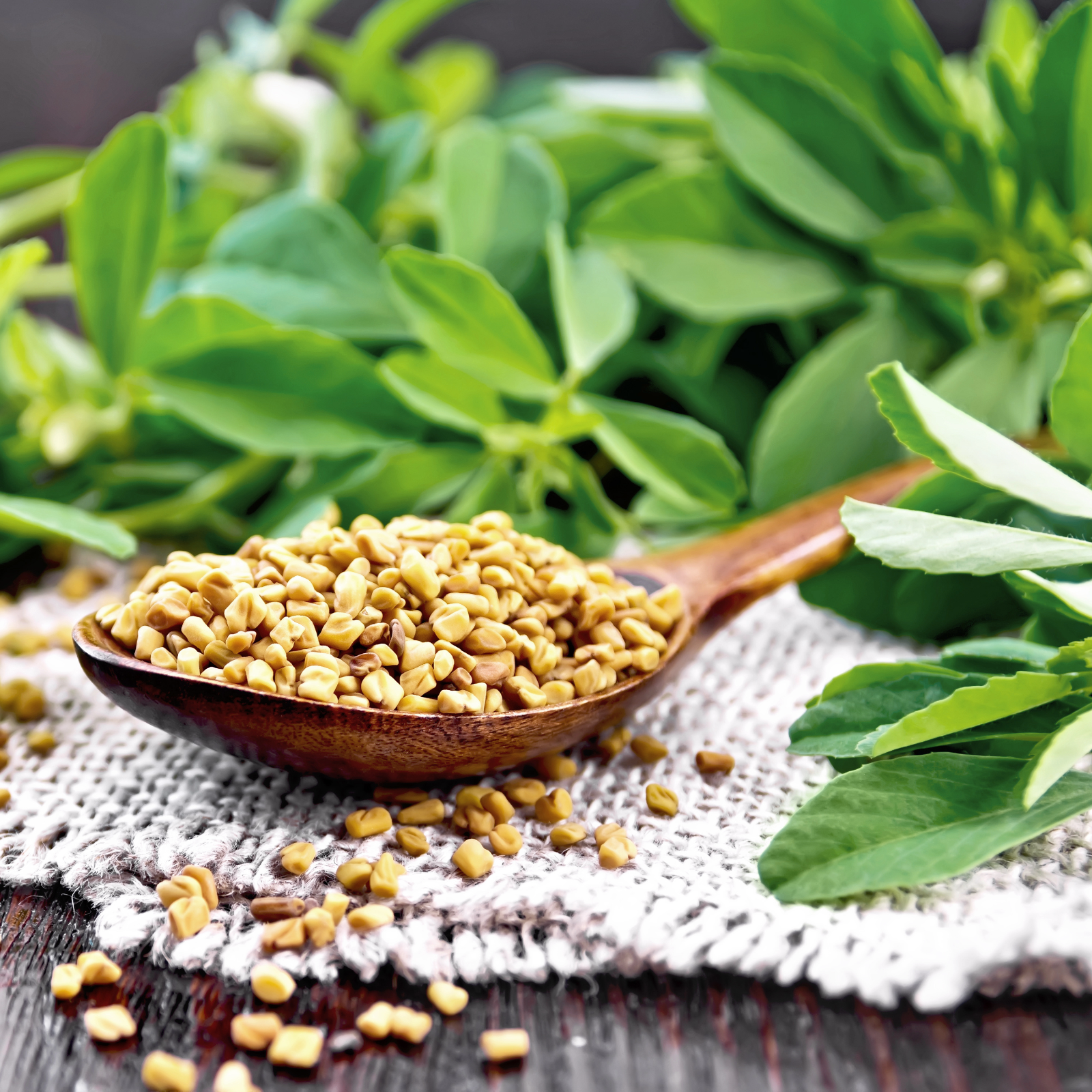 #locale_de#locale_nl