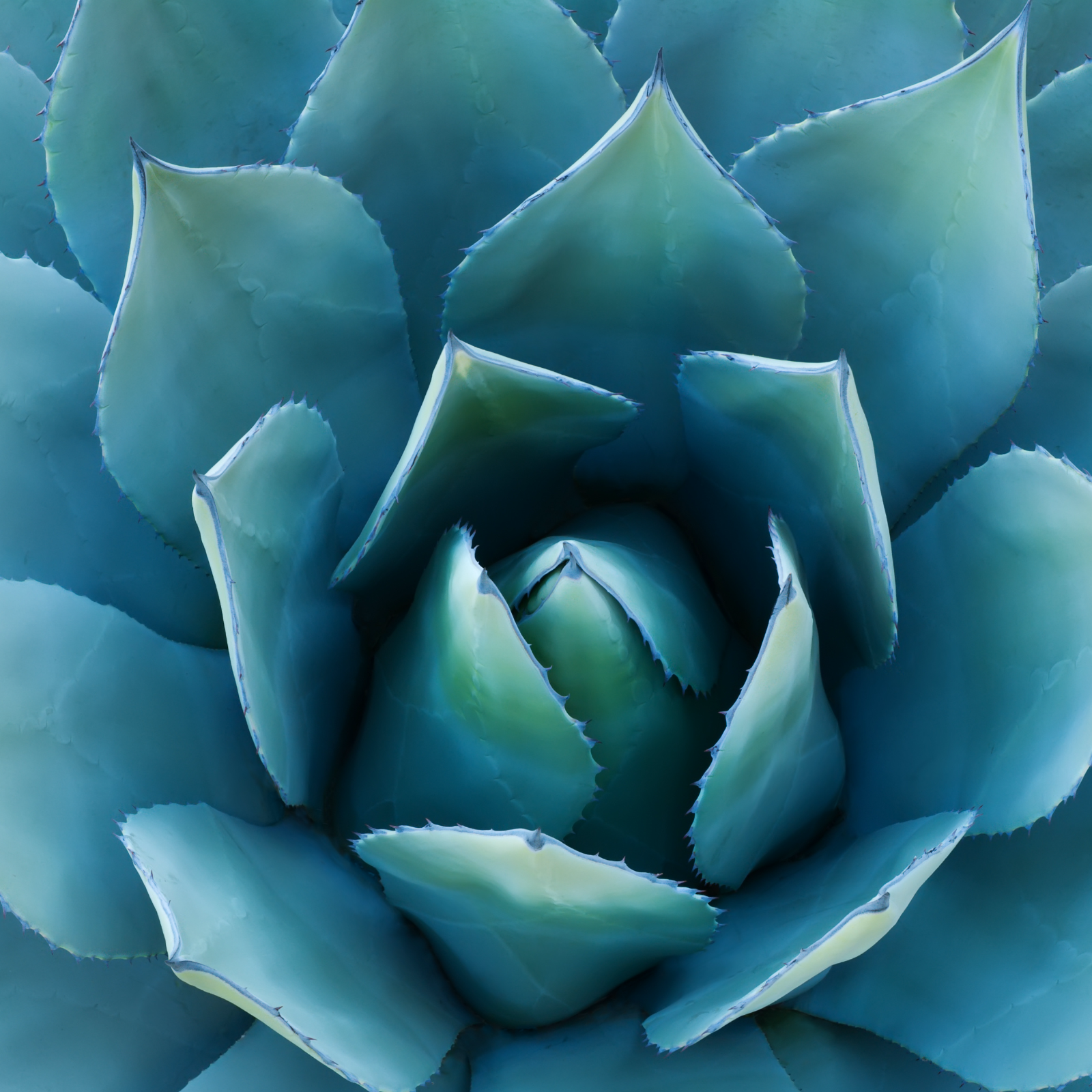 #locale_de#locale_nl