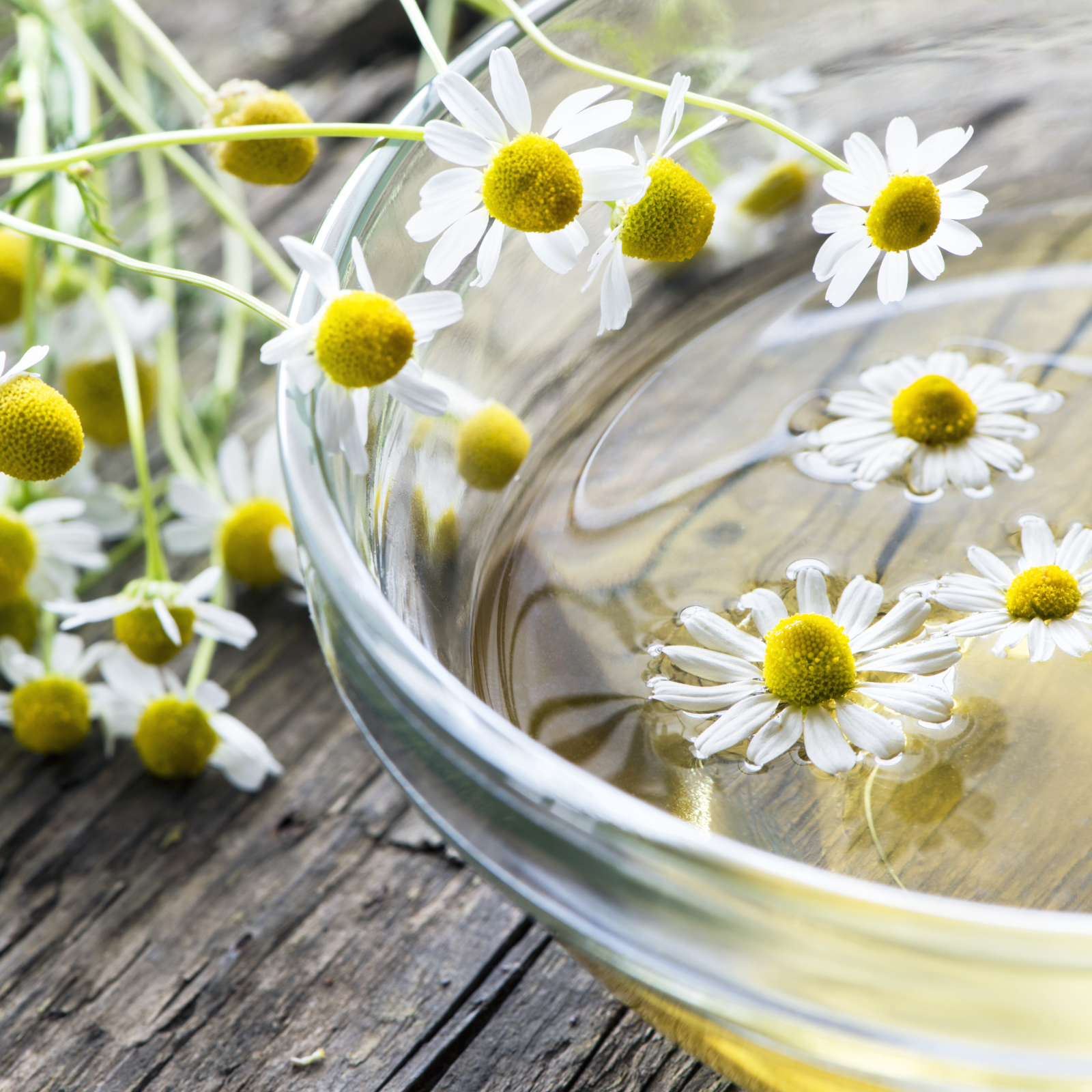 #locale_de#locale_nl