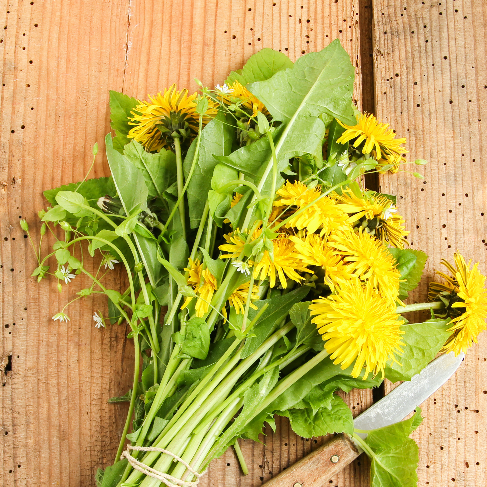 #locale_de#locale_nl