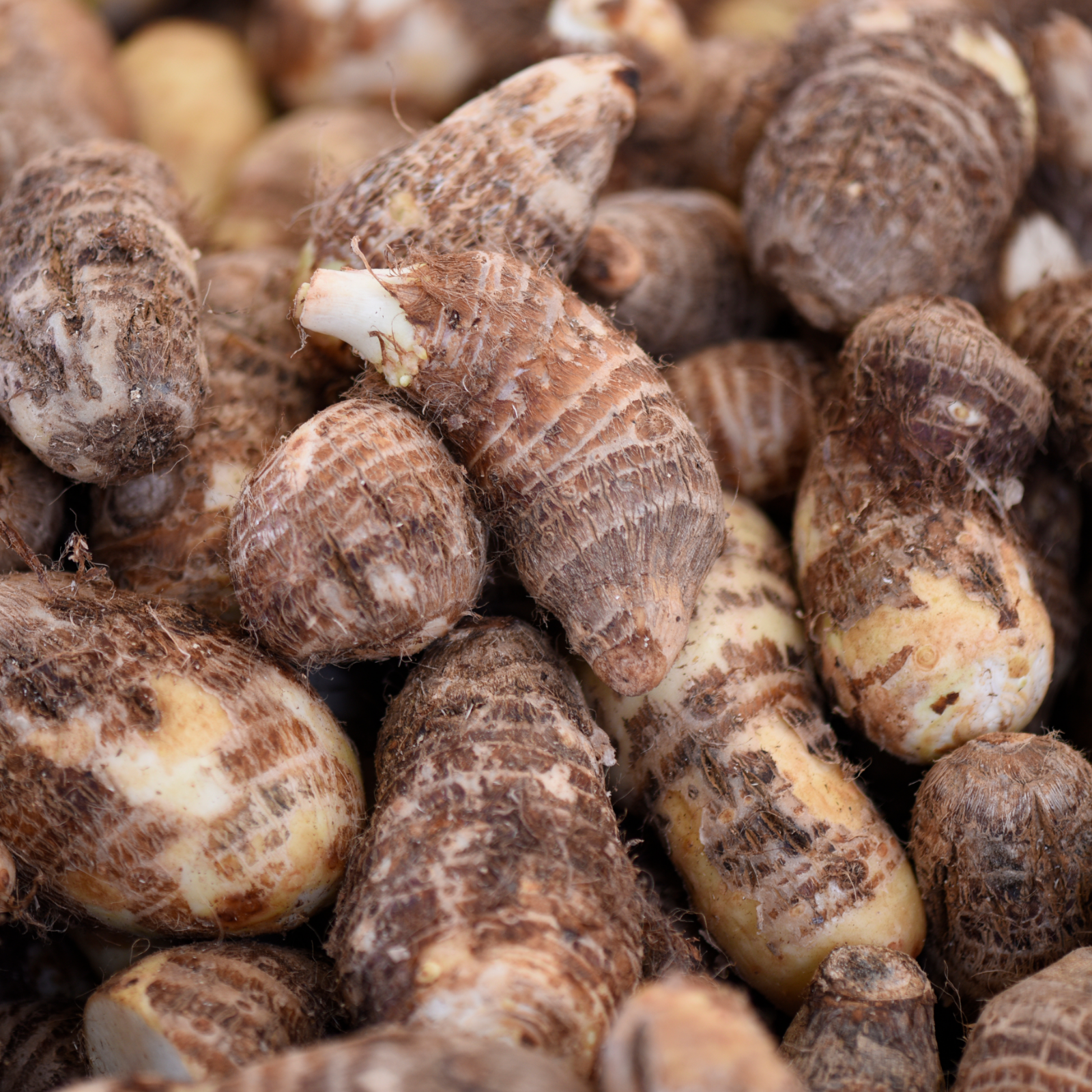 #locale_de#locale_nl