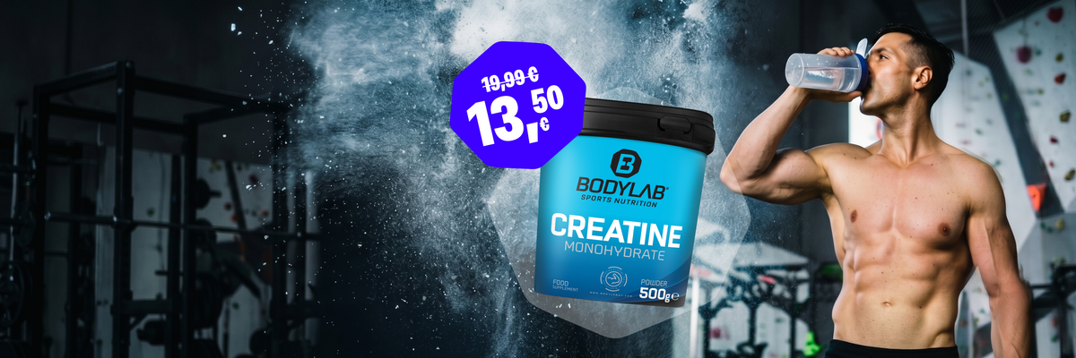 BODYLAB