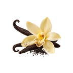 Vanilla