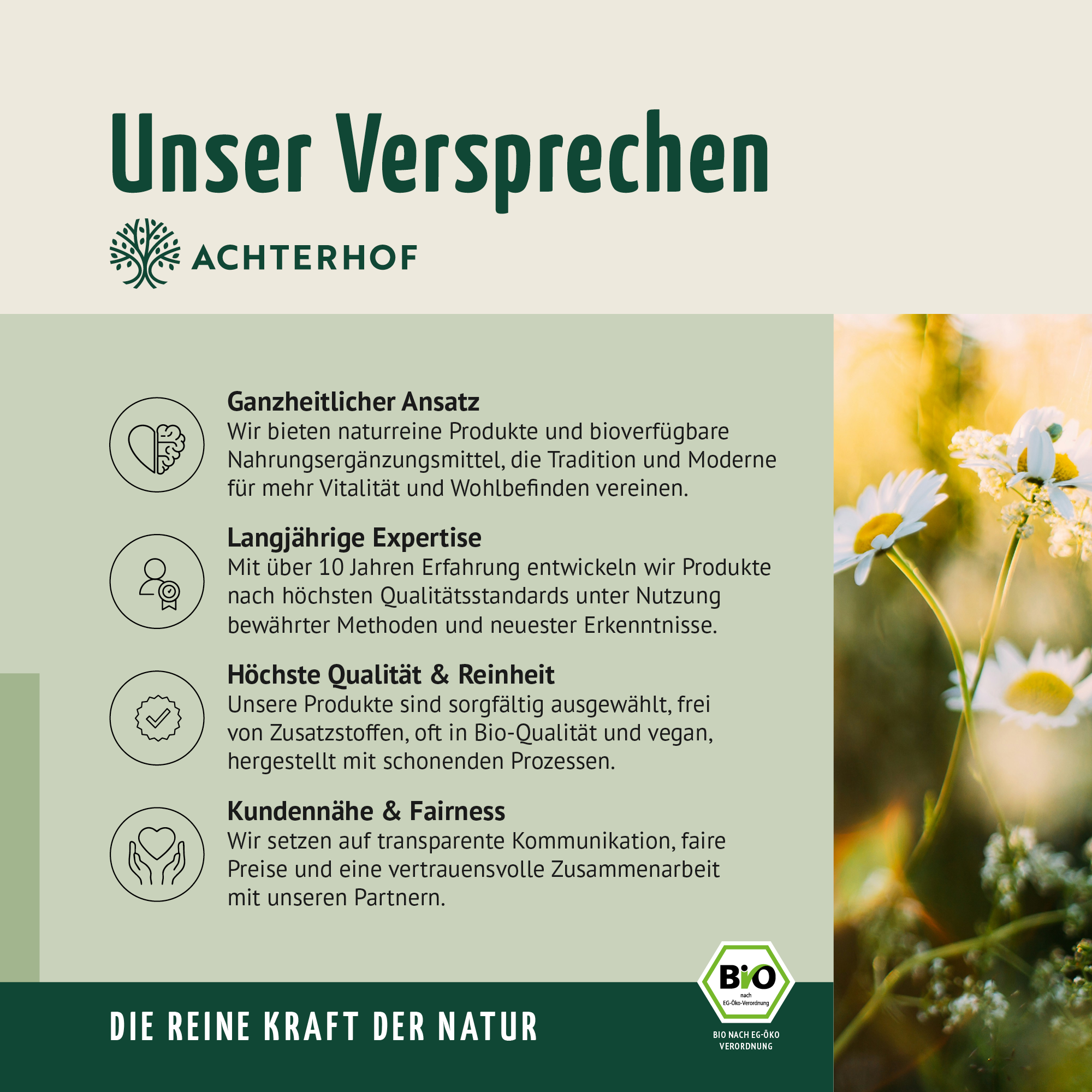 Bio Gerstengras Pulver (1000g)