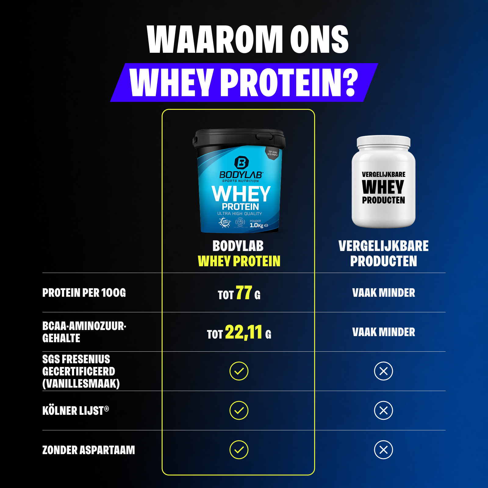Whey Protein (1000g)