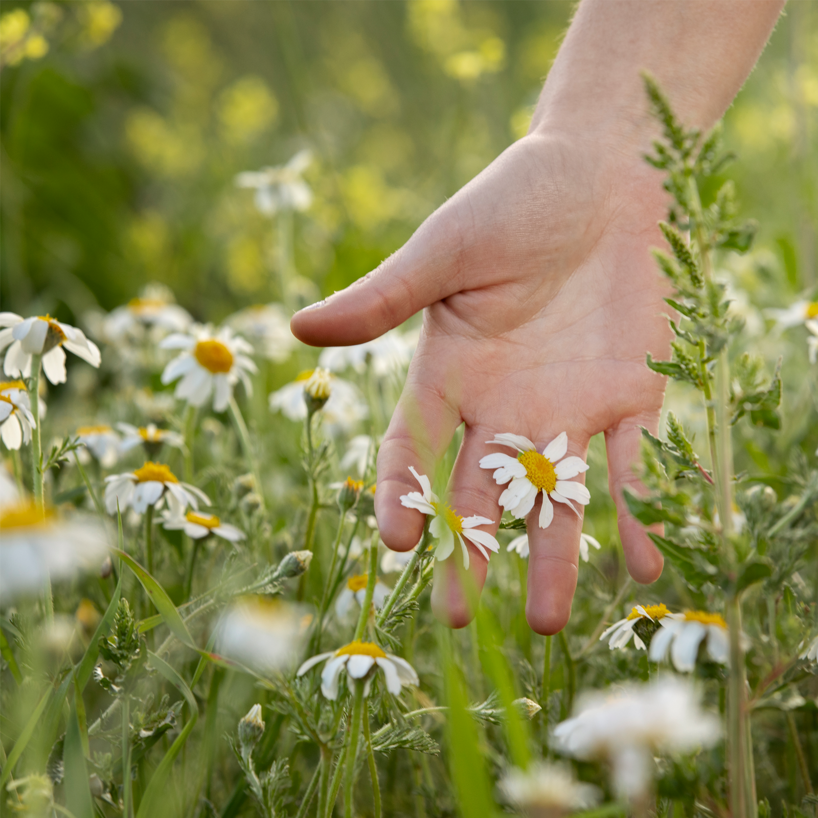 #locale_de#locale_nl