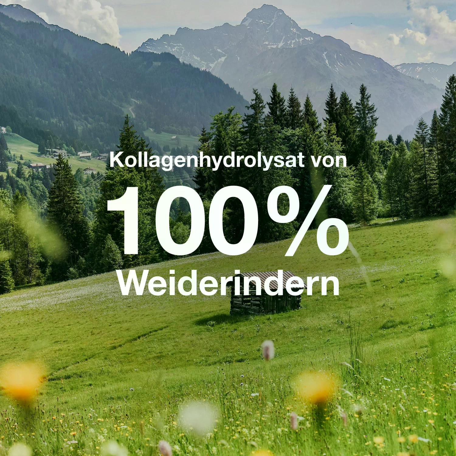 #locale_de#locale_nl