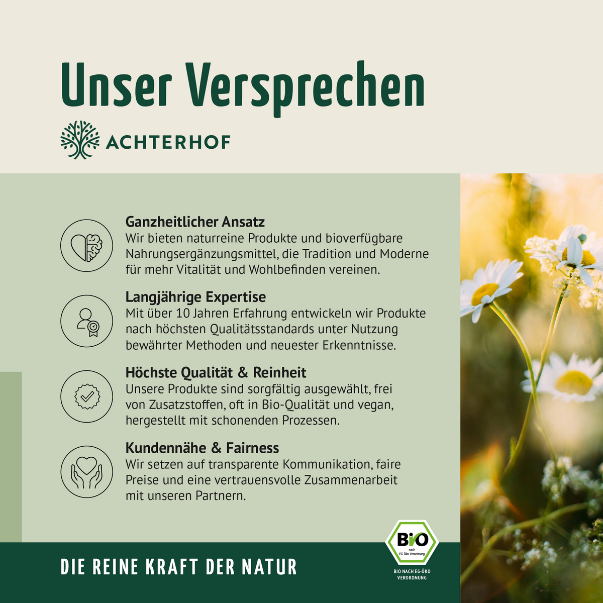 Bio Schwarzkümmel-Öl Kapseln (400 Kapseln)