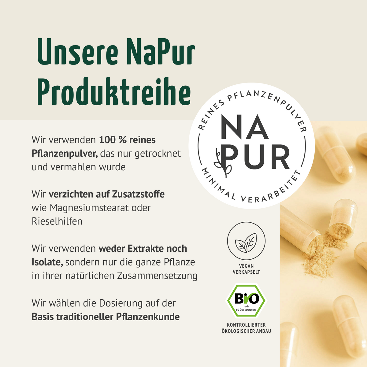Bio Shatavari Kapseln Nachfüllpack (400 Kapseln)