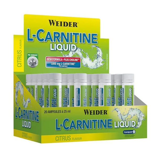 top l carnitine 2016 Acetyl-L-Carnitine 500 mg