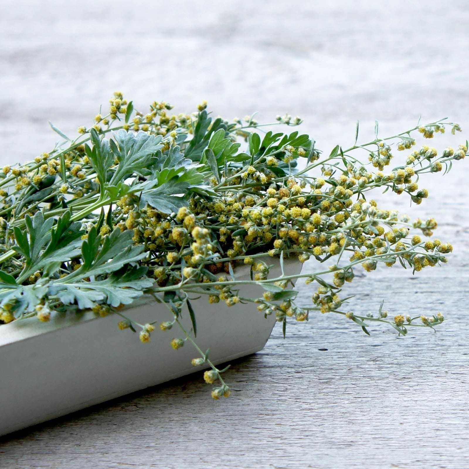 #locale_de#locale_nl