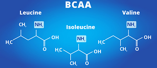 Alt-Text: BCAA Aminosäuren