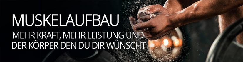Alt-Text: Muskelaufbau